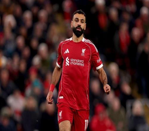 重磅来袭,海牛战队喜,迎三大外援,JBO竞博官网,JBO竞博品牌,JBO竞博精彩,JBO竞博娱乐