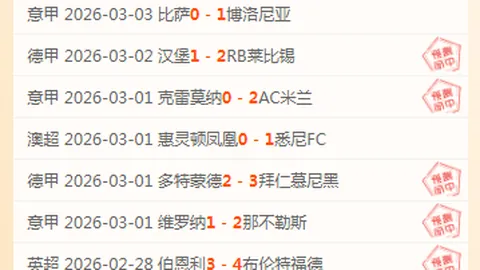 布里斯班狮吼对西悉尼流浪者：交锋战平分析